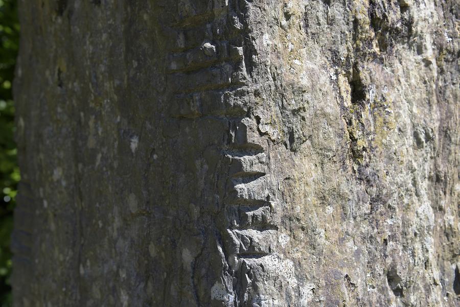 Irish National Heritage Park - Ogham Stone; Detail