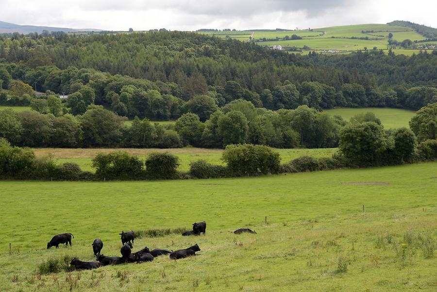 Landscape near Ardmore