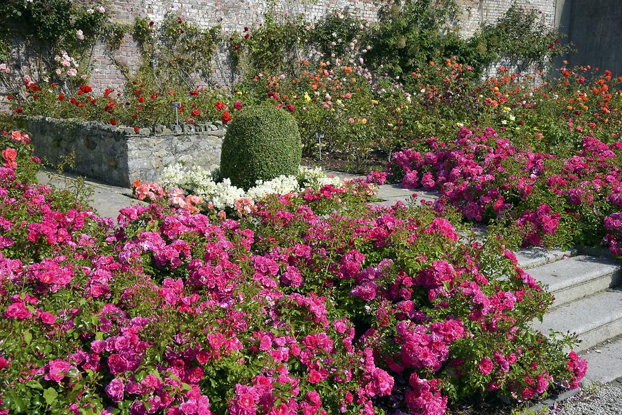 Powerscourt House & Gardens - Rosarium