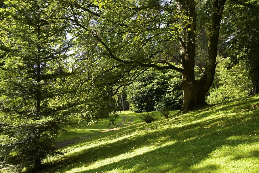 Powerscourt House & Gardens