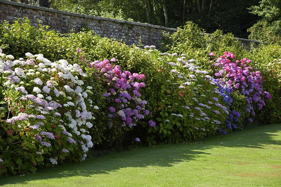 Powerscourt House & Gardens