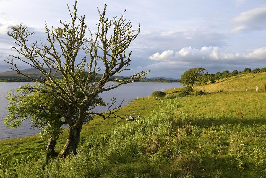 Gartan Lough