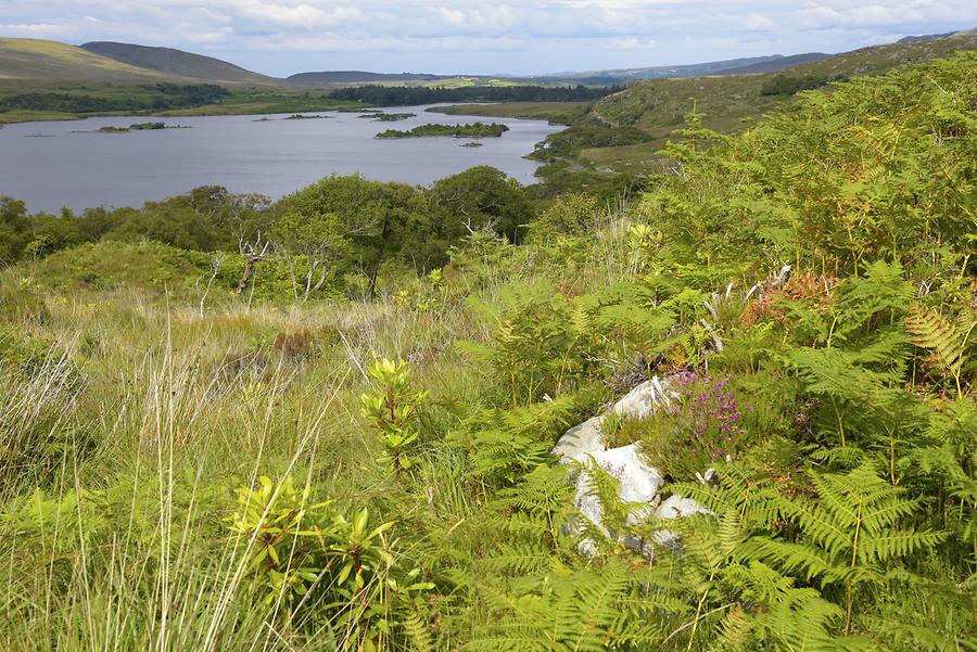 Glenveagh National Park - Lough Veagh