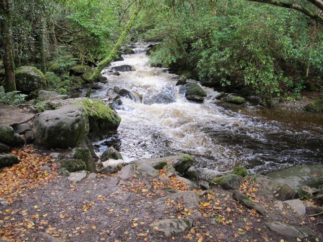 Stream below the Torc