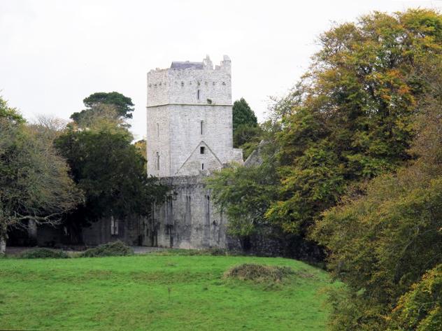 Muckross Abbey (1)