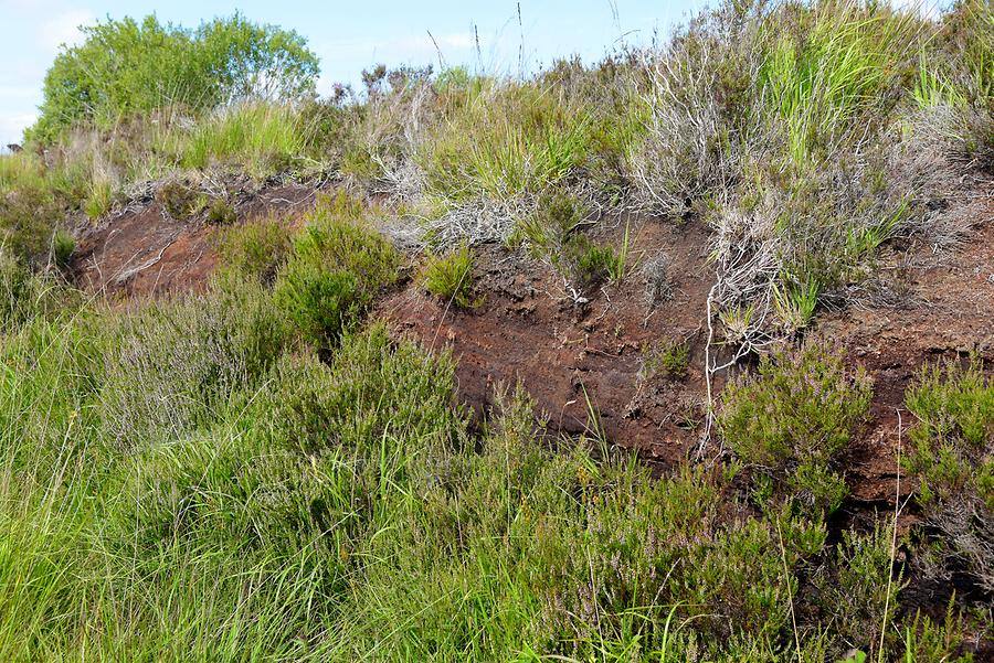 Lough Boora - Peat