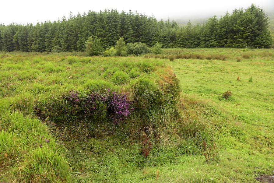 Beara Peninsula - Ringfort