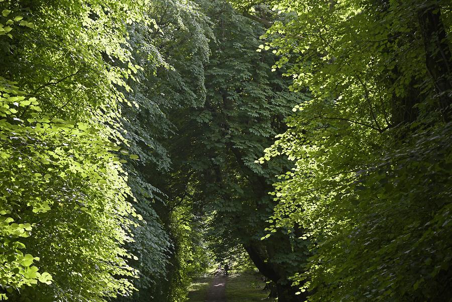 Killarney National Park - Muckross House; Park