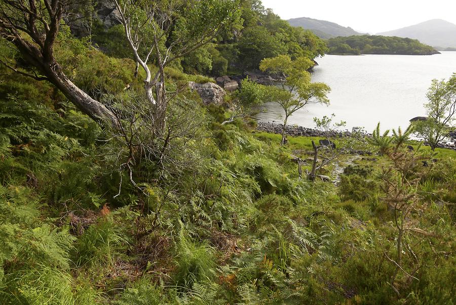 Killarney National Park - Upper Lake