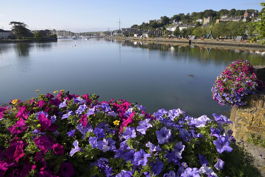 Kinsale - Harbour