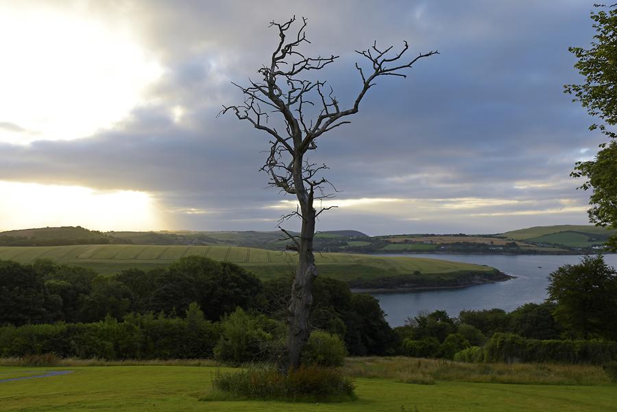 Landscape near Kinsale