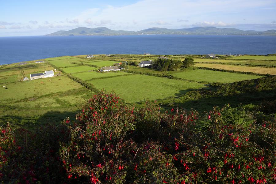 Landscape near Portmagee