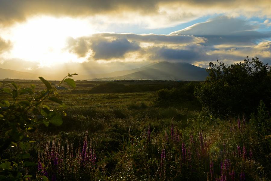 Landscape near Portmagee