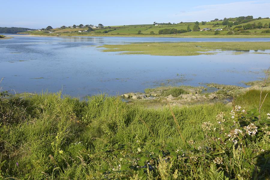 Landscape near Timoleague