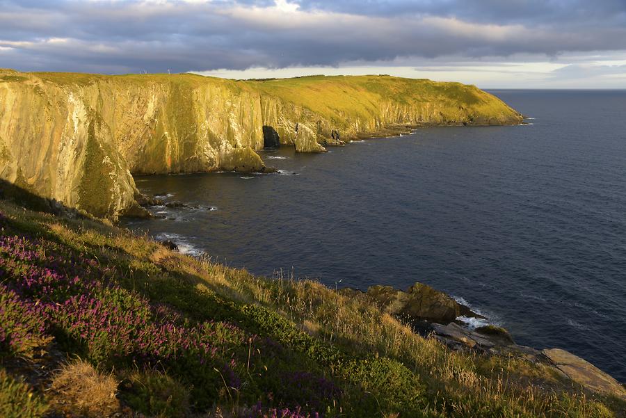 Old Head of Kinsale at Sunset