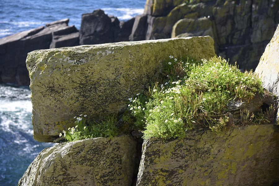 Skellig Michael