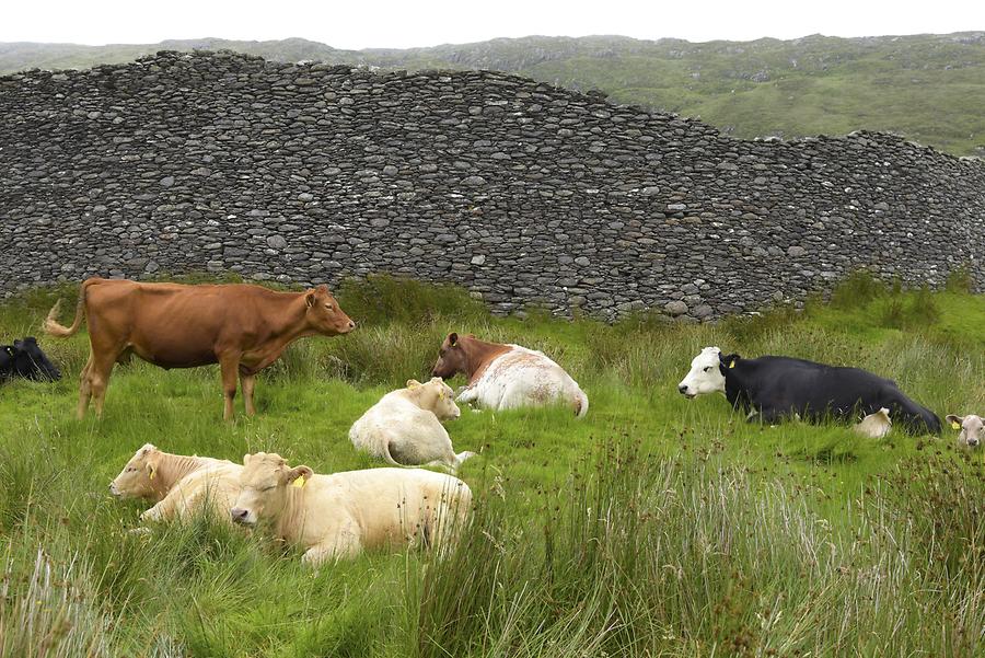 Staigue Stone Fort