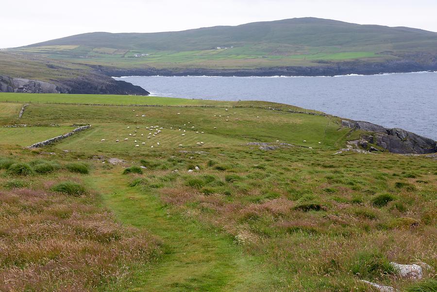 Three Castles Head