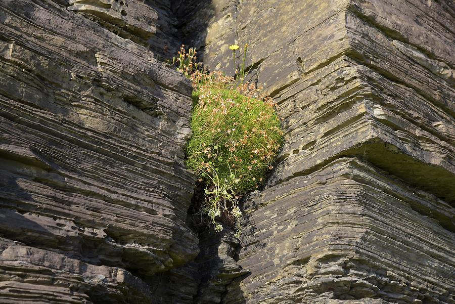 Cliffs of Moher