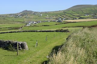 Dingle Peninsula (2)