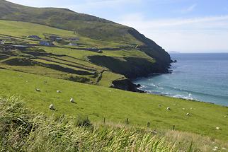 Dingle Peninsula (3)