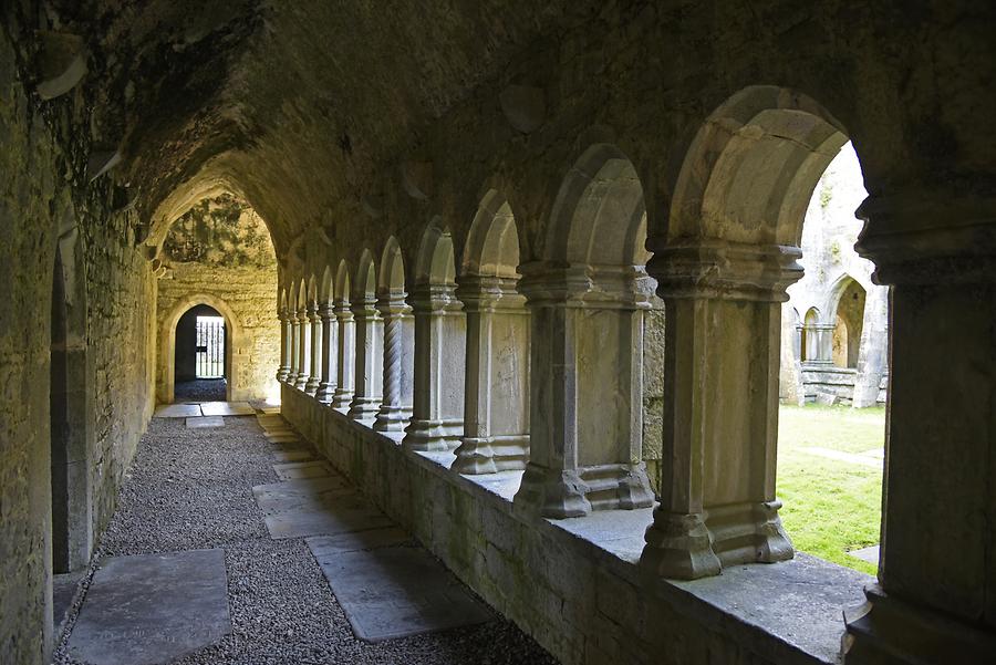 Quin - Quin Abbey; Cloister