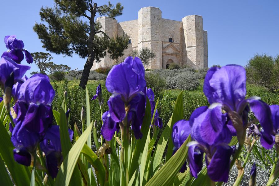 Castel del Monte