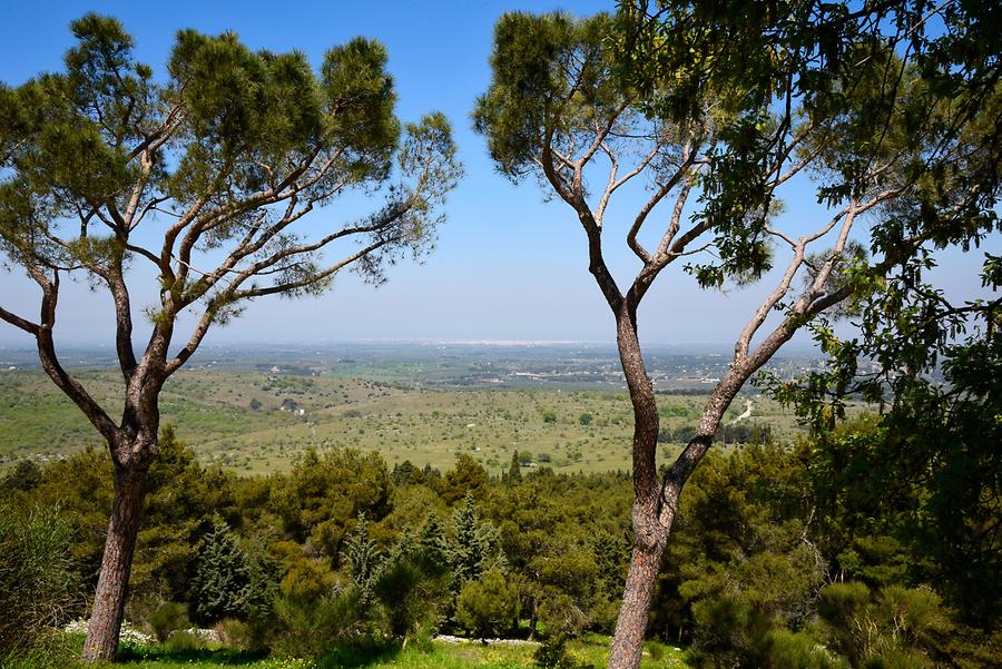 Landscape of the Murge Plateau.