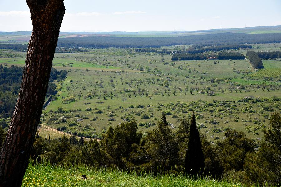 Landscape of the Murge Plateau.