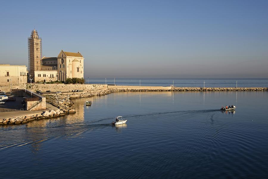 Trani - Cathedral