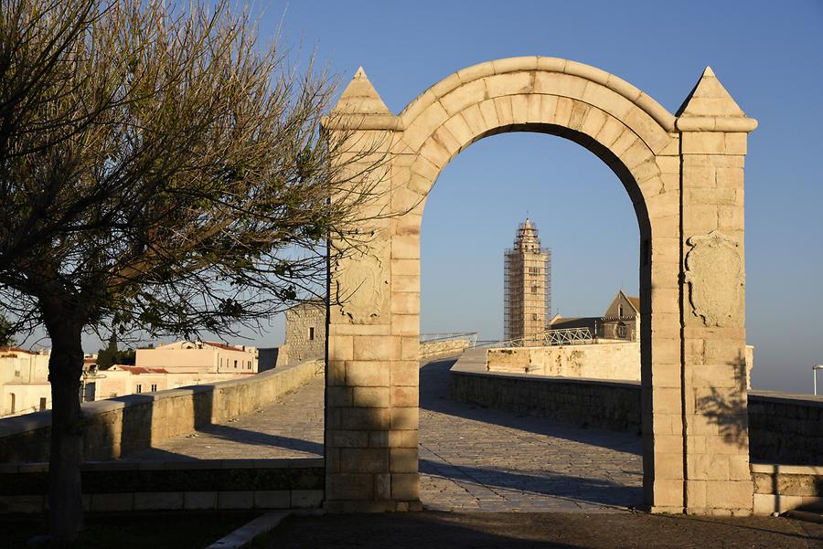 Trani - Harbour