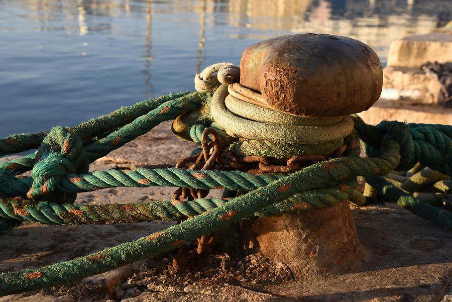 Trani - Harbour