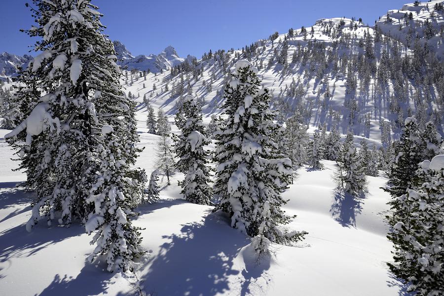 Rio Gere - Mountain Forest