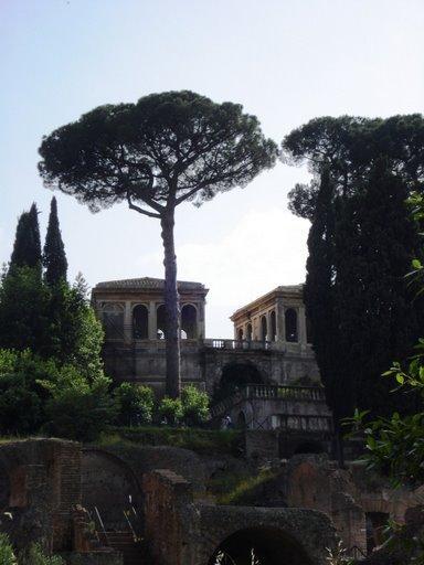 Forum in Rome