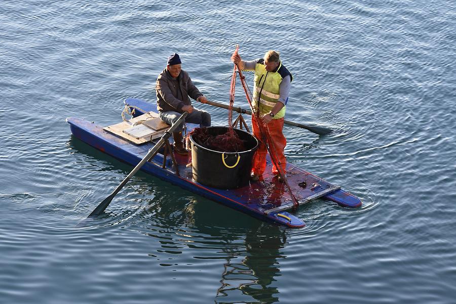 Vieste - Fishermen