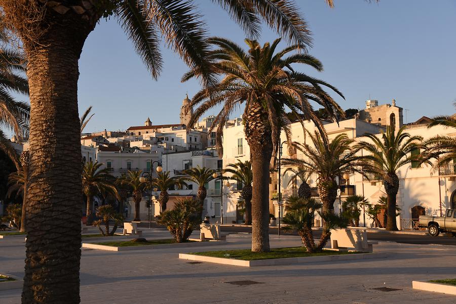 Vieste - Harbour Promenade