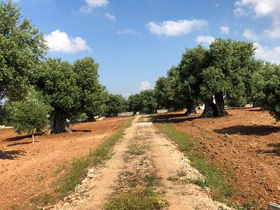 Apulia