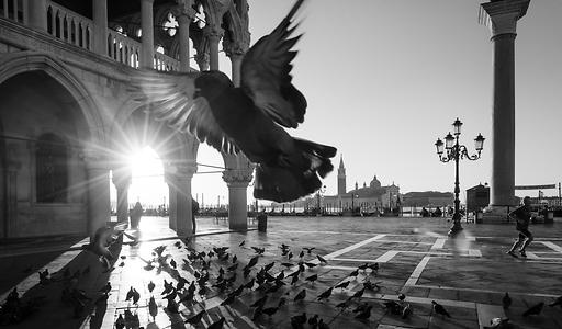 Venice/Venedig