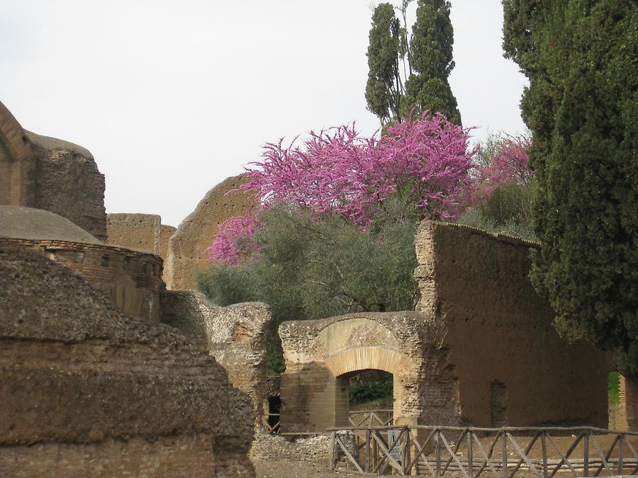 Tivoli - Villa Adriana