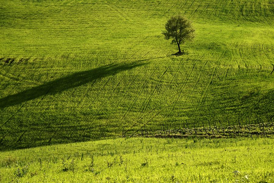 Landscape near Rionero in Vulture