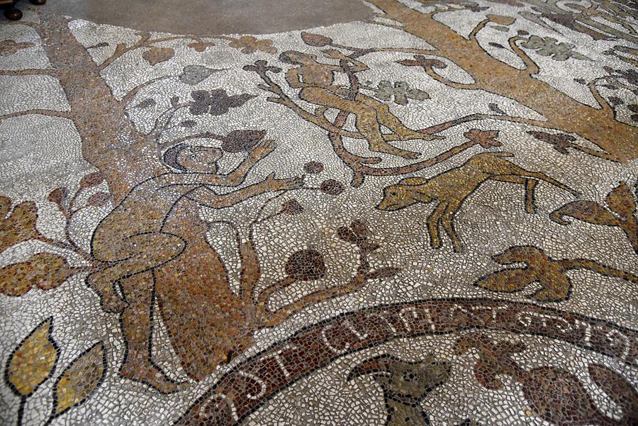 Otranto - Cathedral; Mosaic Floor