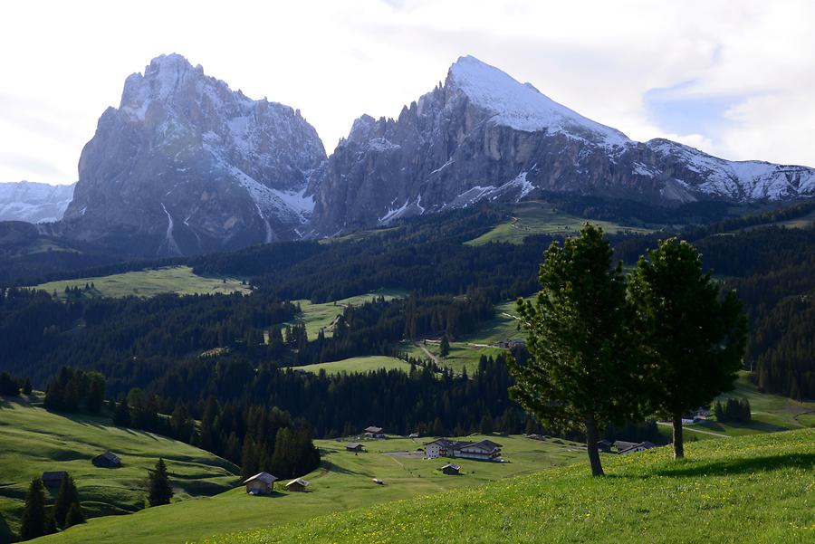 Seiser Alm - Langkofel and Plattkofel