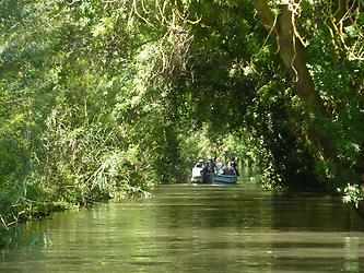 River Ciane near Syracus