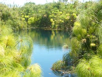 River Ciane near Syracus