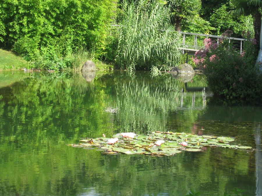 Meran - Trauttmansdorff Castle Gardens