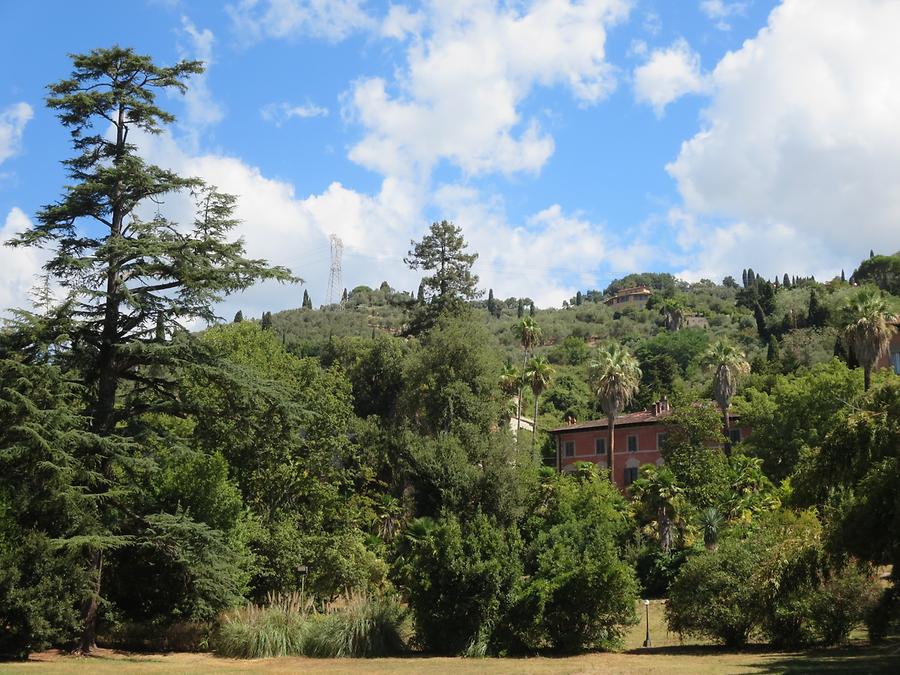 Capazzone Pianore - Villa Borbone delle Pianore; Garden