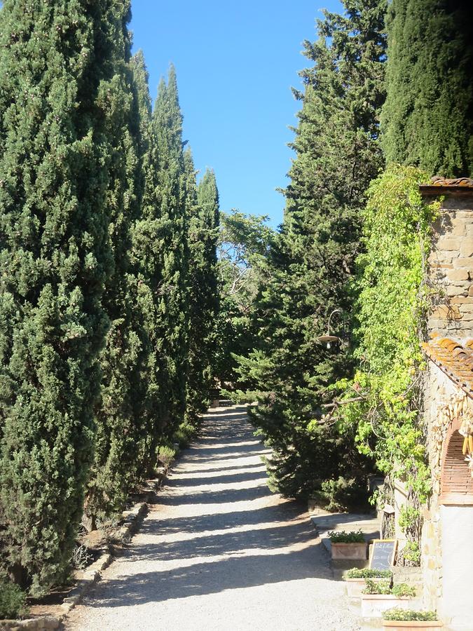 Castiglion Fibocchi - Fattoria La Vialla