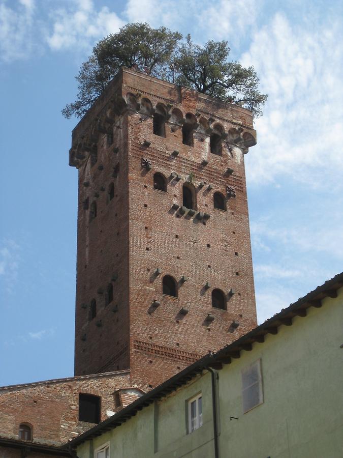 Lucca - Torre Guinigi