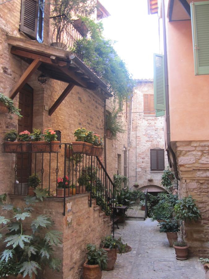 Potted flowers in Spello