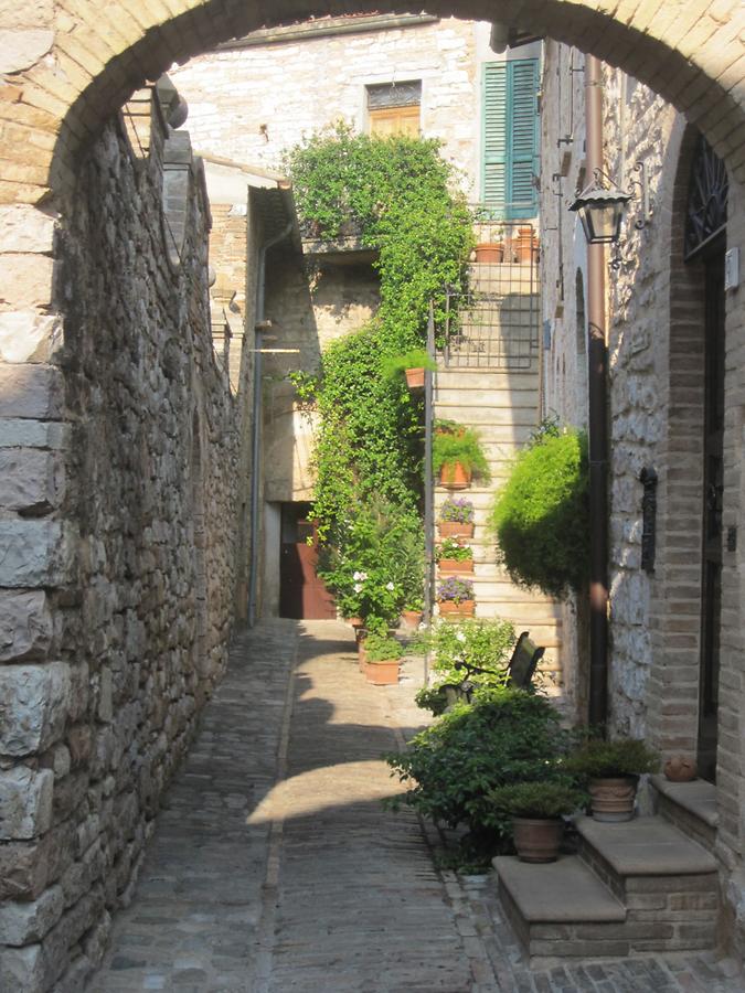 Backyard in Spello